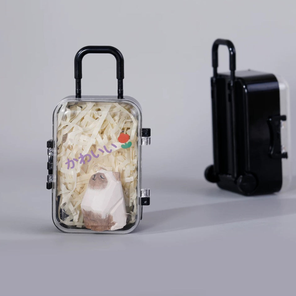Suitcase Pet Trinkets